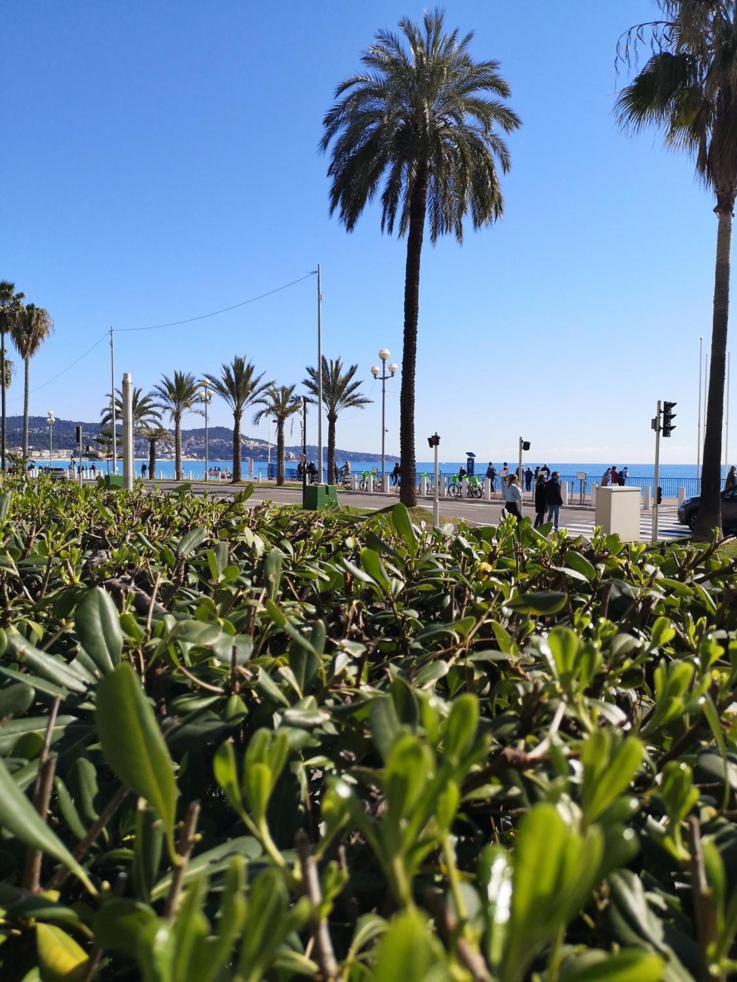 Garden Atlantide Promenade Appartement Nice