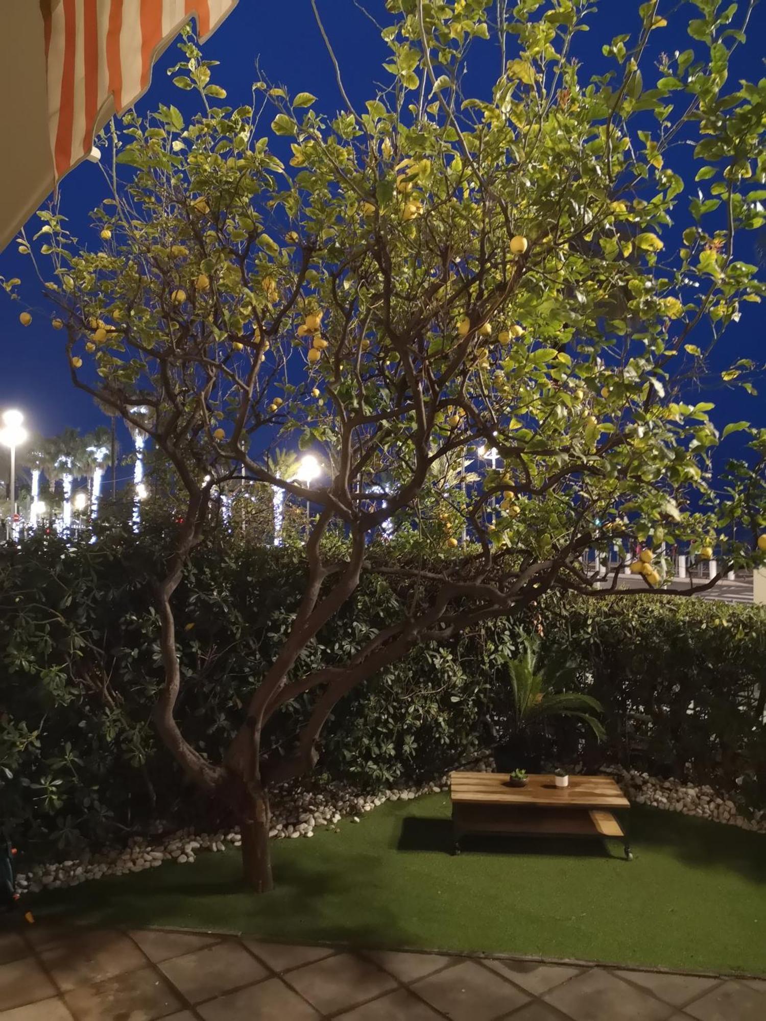 Garden Atlantide Promenade Appartement *